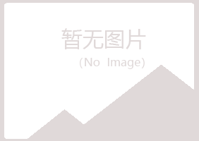 九江庐山平淡化学有限公司